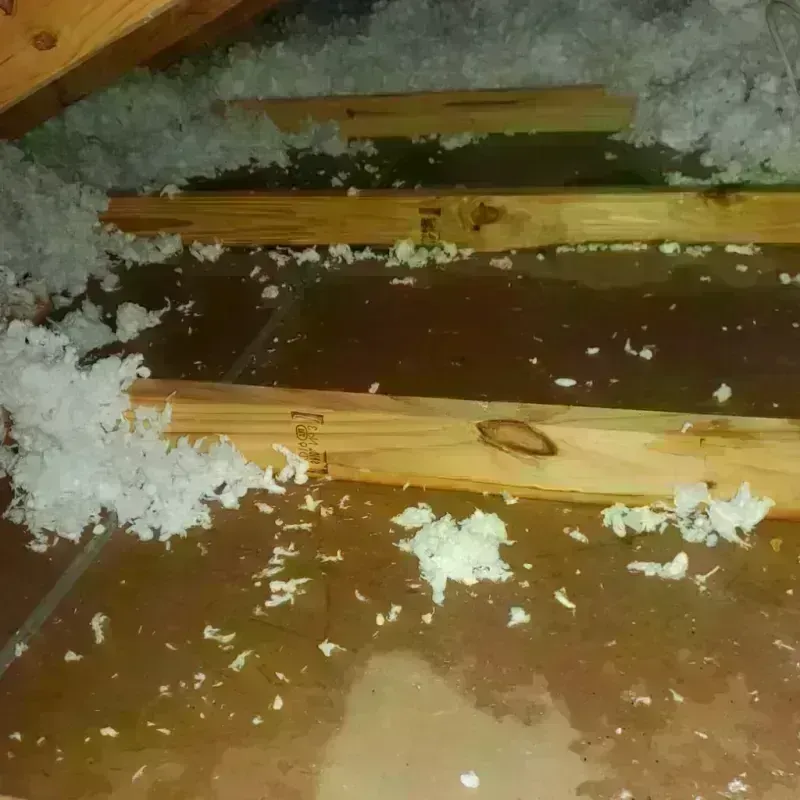 Attic Water Damage in Greene County, GA