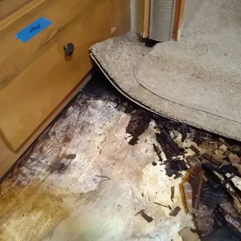 Wood Floor Water Damage in Greene County, GA